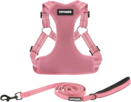 Voyager Adjustable Step (Harness Leash Set (Pink) / XL)