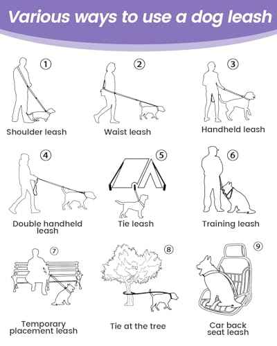 Hands Free Dog Leash with Seatbelt Set (Purple (Detachable) / 71-110‘’)