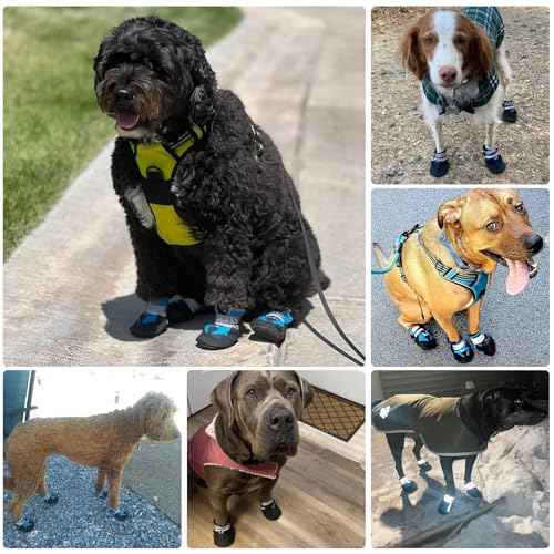 Water Resistant Dog Boots for Medium Large Dogs (Blue(Waterproof) / M (Insole Width 2.2")for 30~44lb)