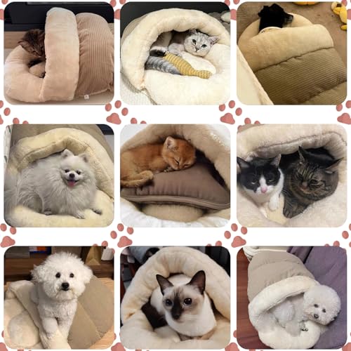 Bed for Dog and Cat (Large / Light Brown)