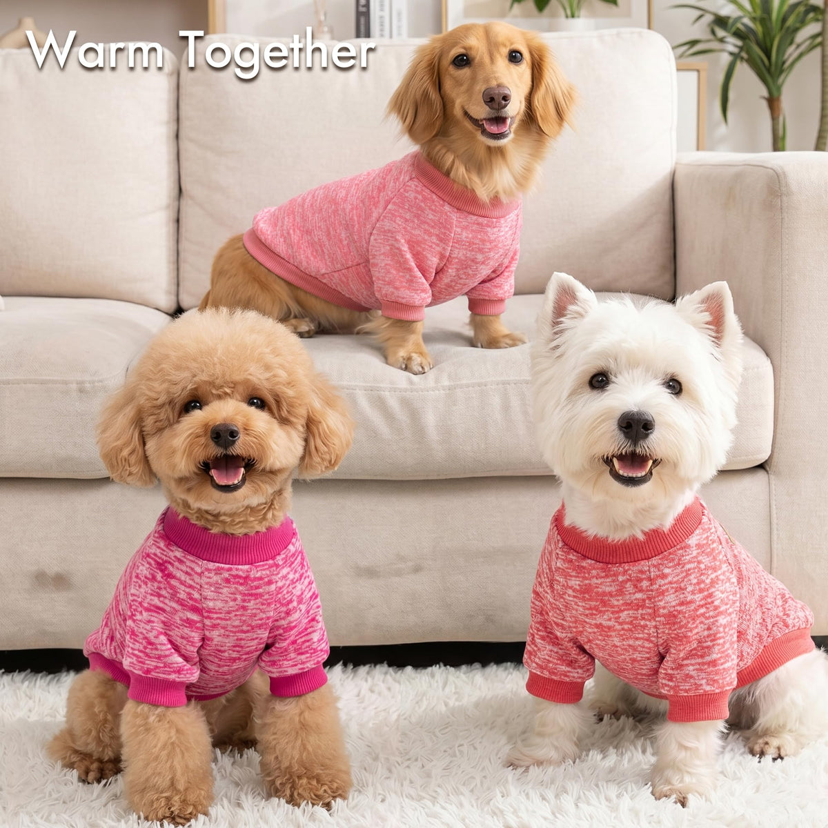 3 Pack Dog Sweaters for Small Dogs Girl Boy Winter Fleece Clothes Warm Soft Dog Sweatshirt Outfit for Dogs Cats Pet Apparel (Rose+Red+Pink / XS (Back: 9.8", Chest: 13.7", 3.5-5.5 lbs))