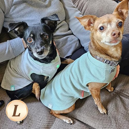 2Pack Waffle Dog Shirt for Small Dogs Striped Dog Sweater Tank Top (Large (12-18lbs) / 2Pack(Green+Grey))