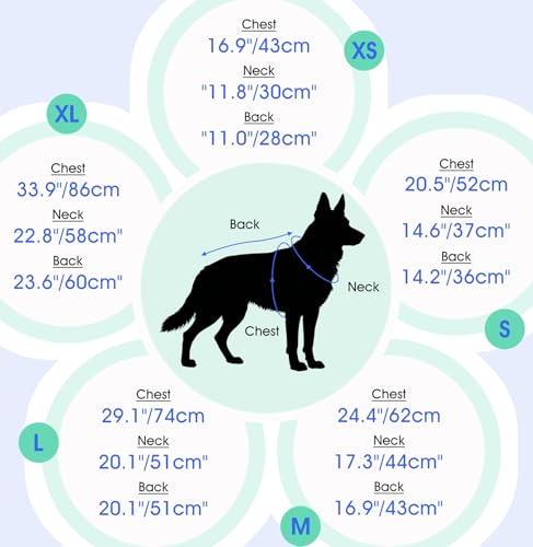 Dog Anxiety Relief Vest (Black / X-Small (Chest: 16.9"/43cm))