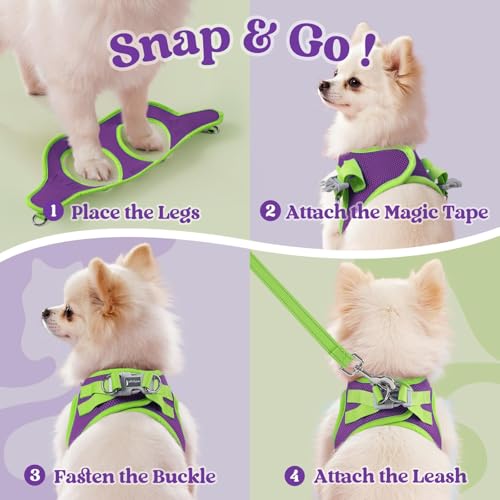 Dog Harness Small Sized and Leash Set (Purple & Green / S (Chest: 15.1"-16.5"))