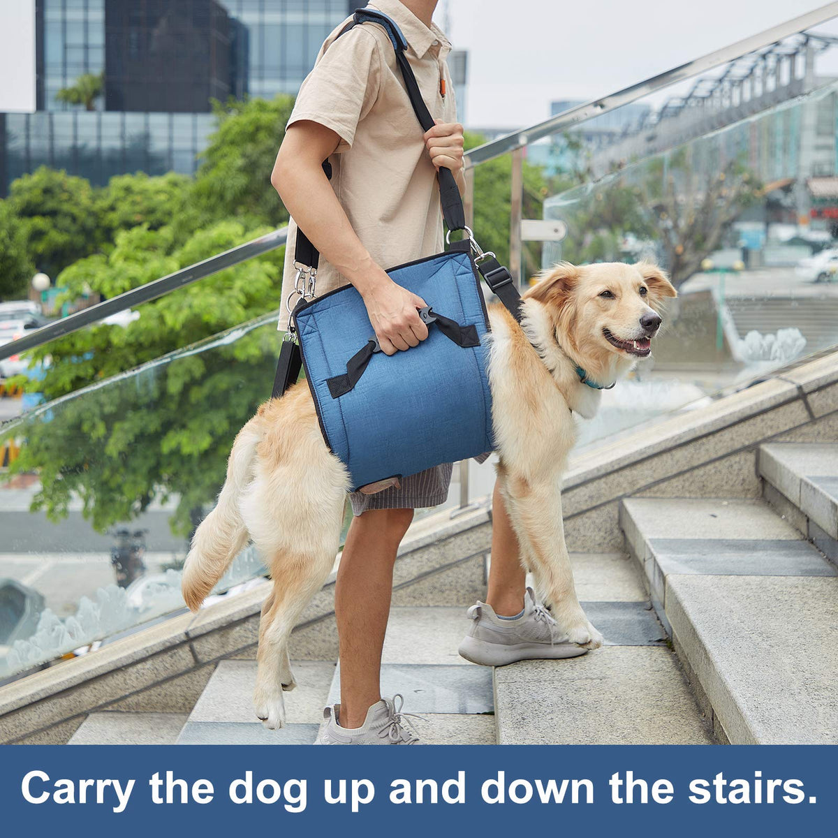 Dog Carry Sling (Blue / Large)