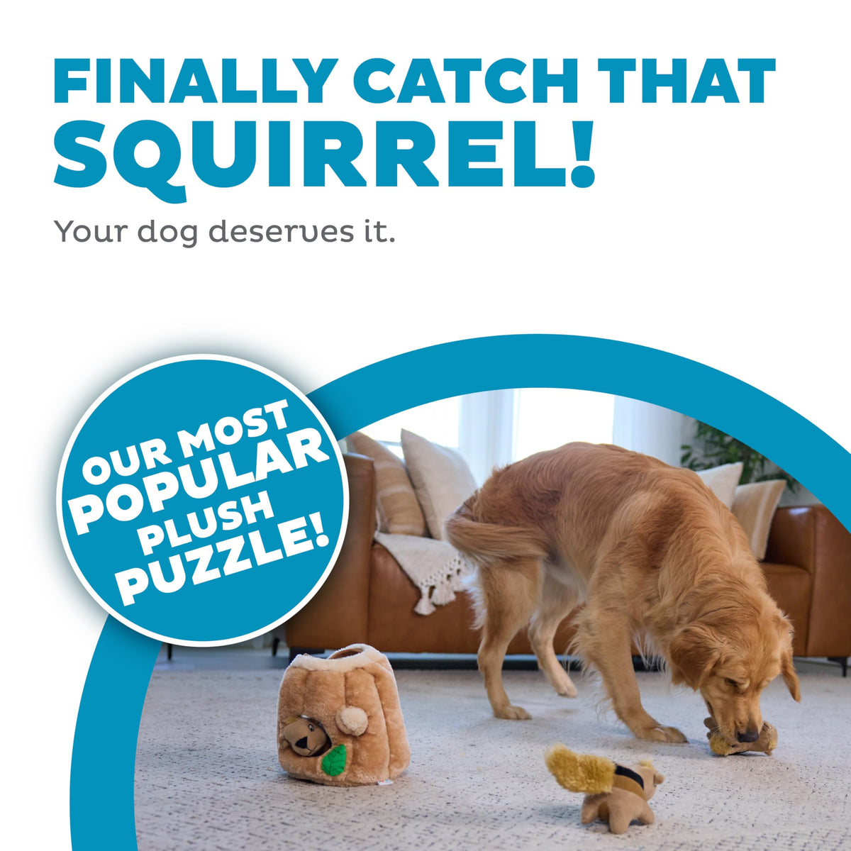 Hide-A-Squirrel Plush Squeaky Dog Toy, Large, 10.5" x 7.5" (Squirrel Large / Large (Pack of 1))