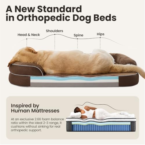 RealOrtho™ XL Plus 3 (Camel Brown / 48"L x 35"W x 8"Th)