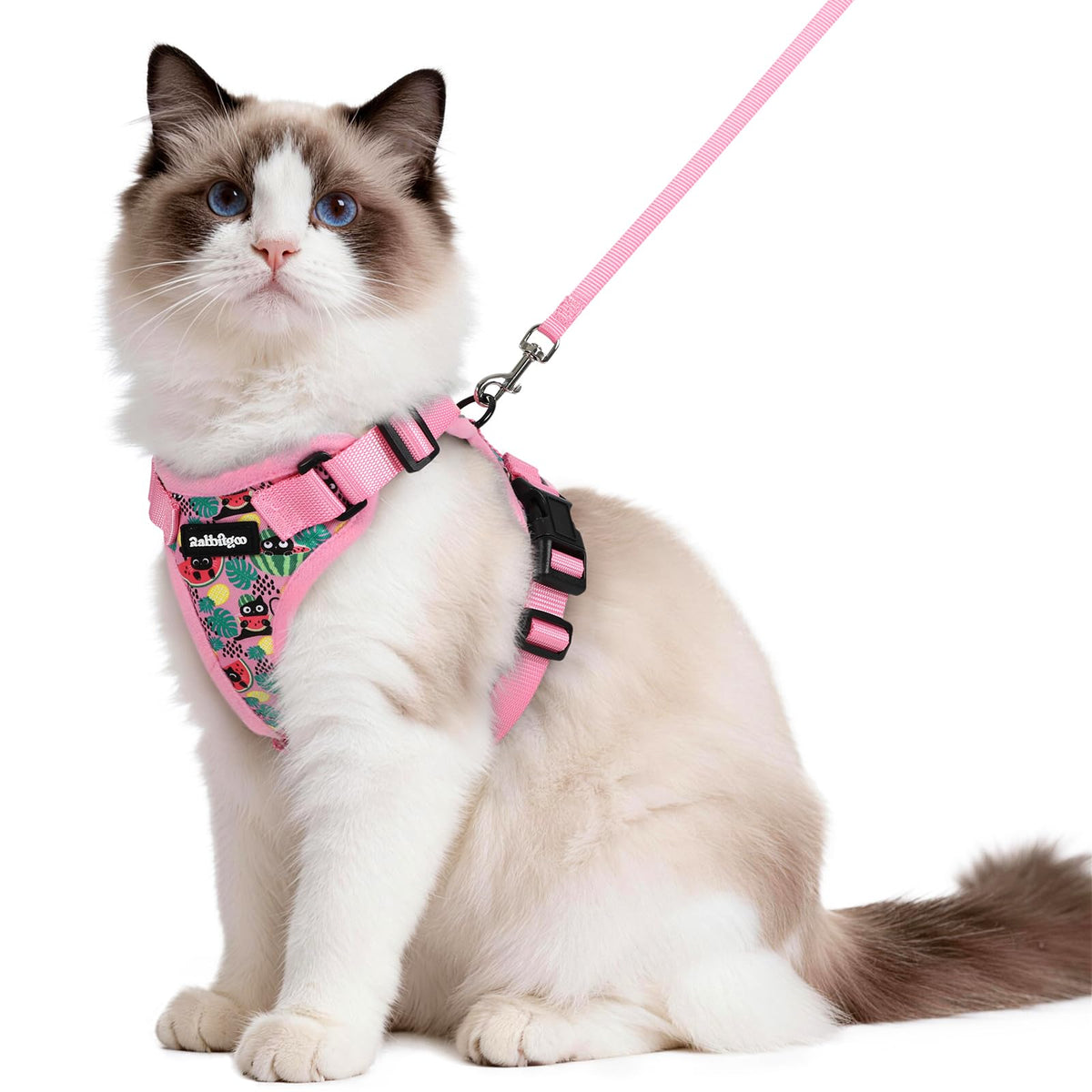 Cat Harness and Leash Set (M / Melon Munch)