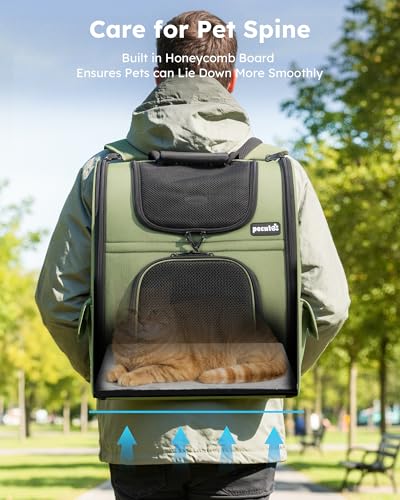 Pet Backpack Expandable (Geen / 12.6"L x 10.2"W x 16.5"H)