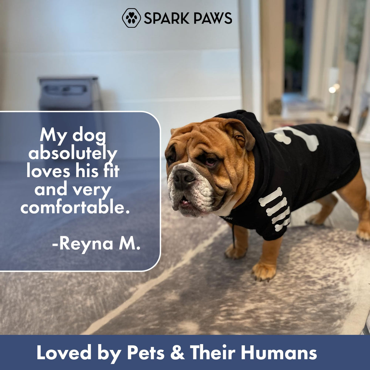 Dog Hoodie Buttery (Woof / Medium)
