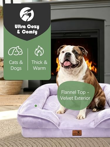 Orthopedic Dog Bed with Sides (35.0"L x 25.0"W x 6.5"Th / Purple)