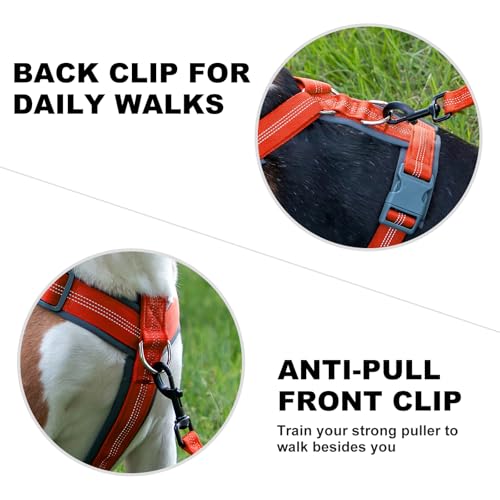 No Pull Dog Harness (M / Orange)