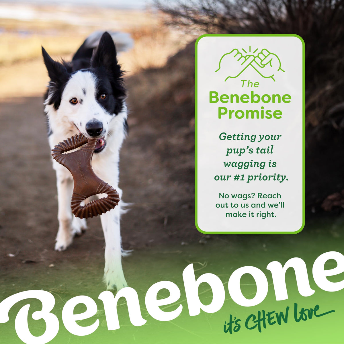 Dental Dog Chew Toy for Aggressive Chewers (REAL Peanut / Medium)