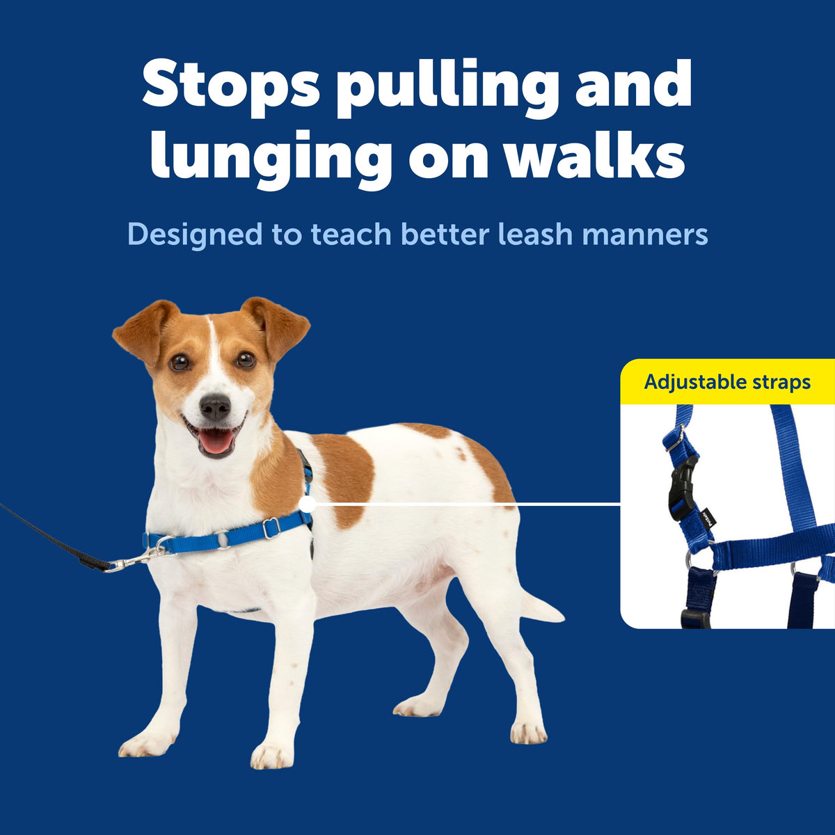 Easy Walk Harness for Dogs (Small / Royal Blue/Navy Blue)