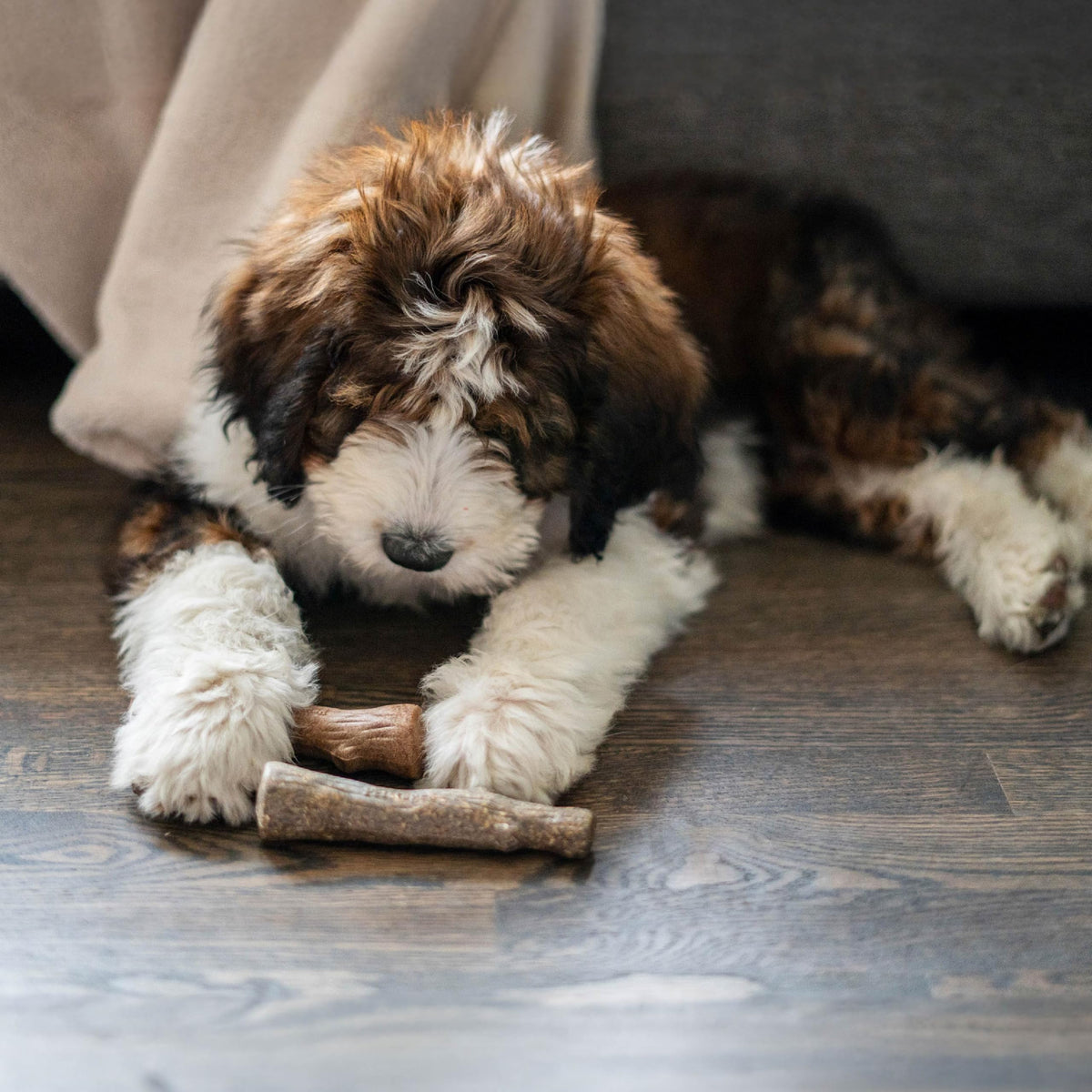 Dogwood Calming Stick Dog Chew Toy