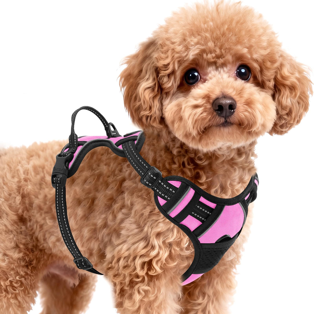 Dog Harness for Small Sized Dog No Pull 2 Leash Clips Dog Vest (Pink / Small)