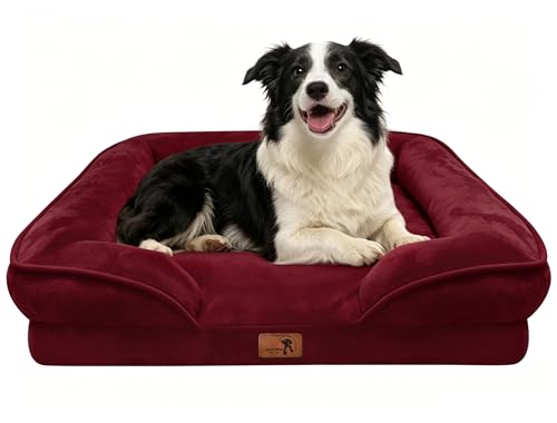 Orthopedic Dog Bed with Sides (35.0"L x 25.0"W x 6.5"Th / Burgundy)