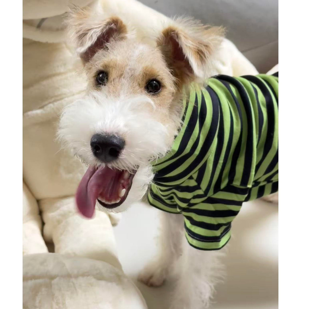 Turtleneck Dog Shirt Cute Doggie Embroidery Super Soft Dog Sweatshirt Stretchy Striped Puppy Pullover for Cats Small Medium Large Dogs (Green Striped / Large)