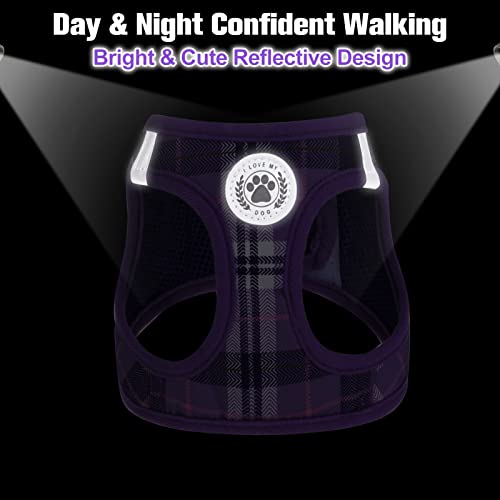 Dog Harness Medium Sized and Leash Set (Medium(Chest Girth 16" - 18") / Purple)