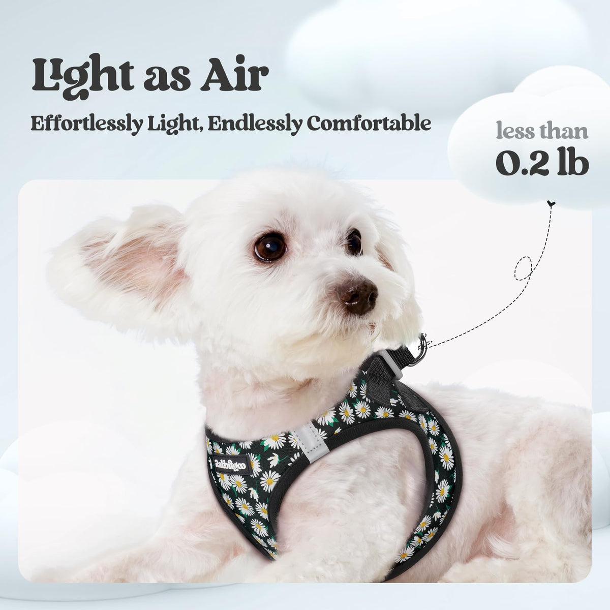 Dog Harness Small Sized and Leash Set (Midnight Daisy / Xs (chest: 13.3 - 15.5"))
