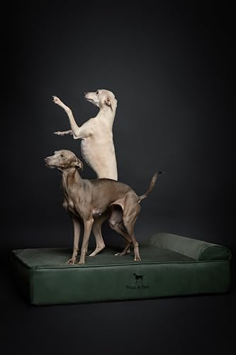 Large Dog Bed (Vegan Leather - Green / Large)