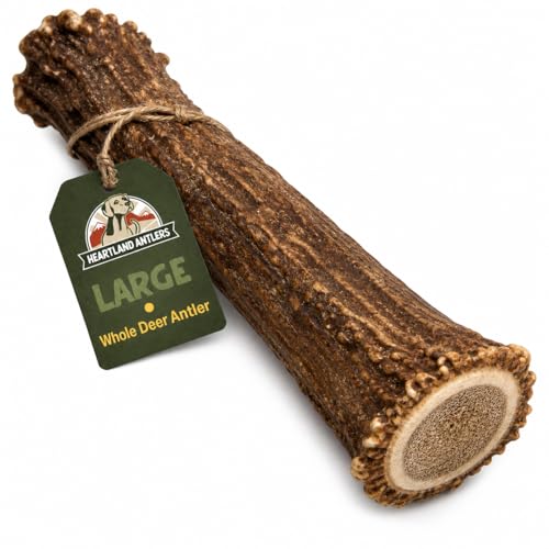 Deer Antler Dog Chew (Large (Dogs 45-65 lbs))