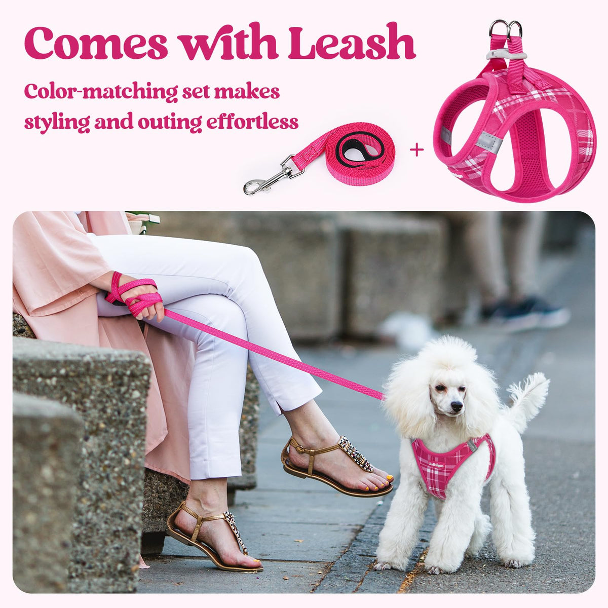 Dog Harness Small Sized and Leash Set (Rose Red Plaid / Xs (chest: 13.3 - 15.5"))