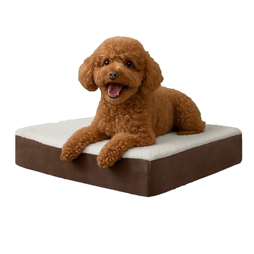 Orthopedic Dog Bed (Brown / Small)
