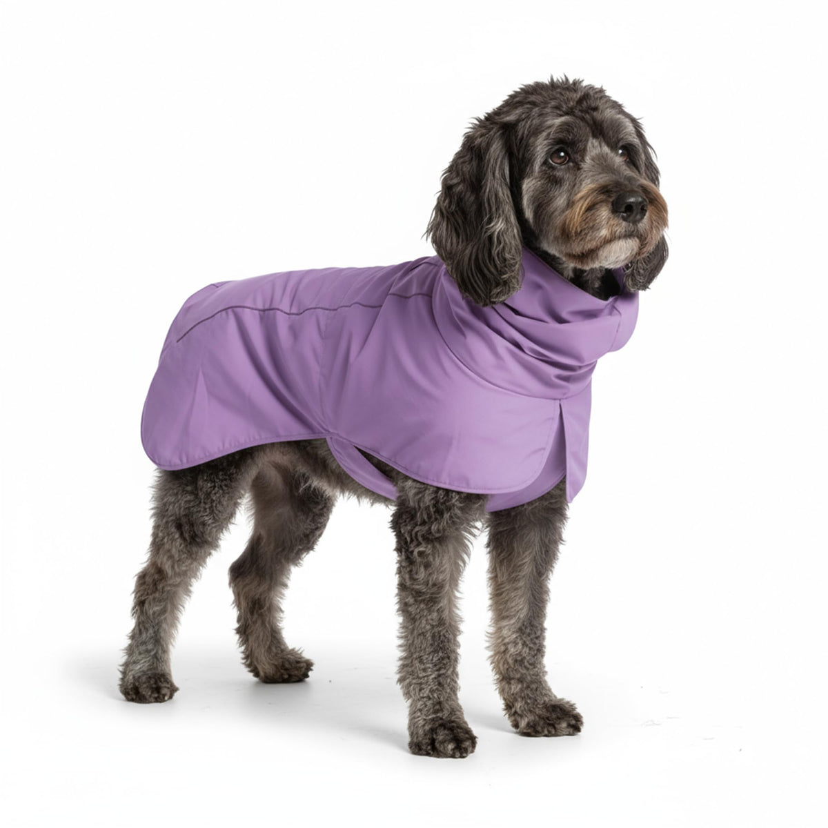 Dog Raincoat Waterproof Rain Jacket w (Purple / XX-Large)