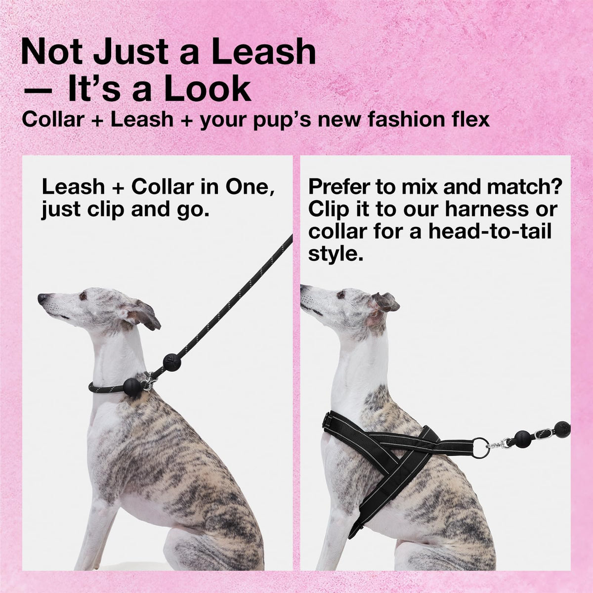 Hands Free Reflective Dog Leash (Bow Black)