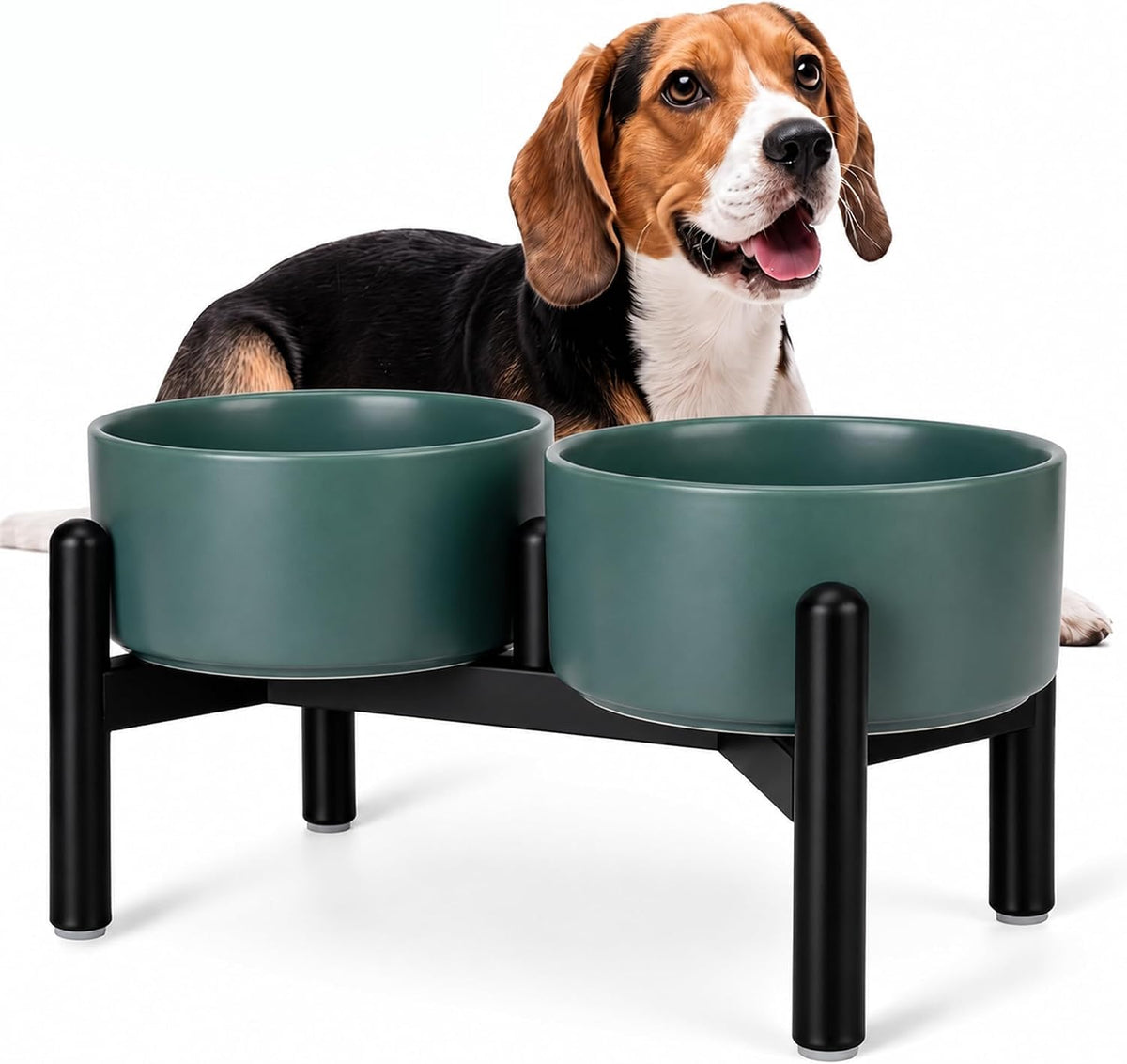 Raised Ceramic Dog Bowl Set with Stand (Green / 2 Bowls - 3.5 Cups Each)