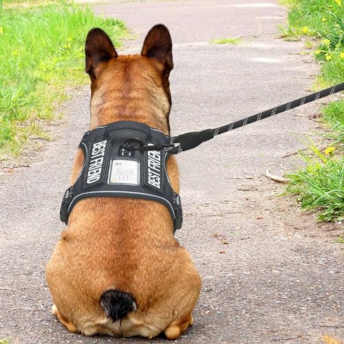 Tactical No Pull Dog Harness with Leash (Black / Medium)