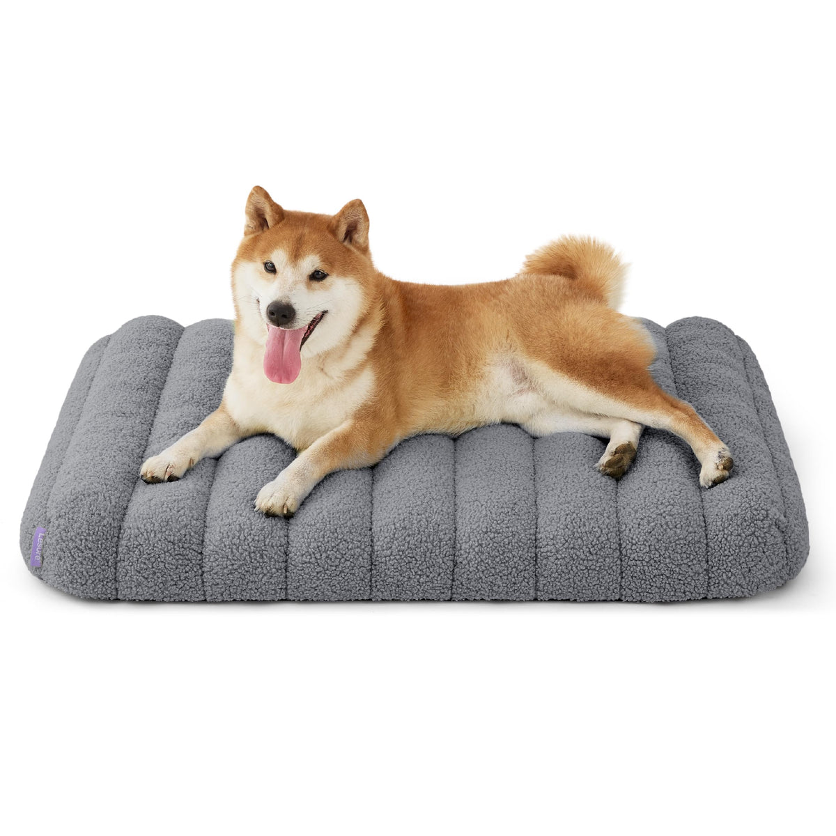 Cute Orthopedic Dog Bed Medium Size Dog (30"L x 20"W x 4"Th / Grey)