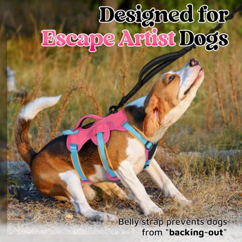 Escape Proof Dog Harness for Small (Sky & Peach & Rose / Small)