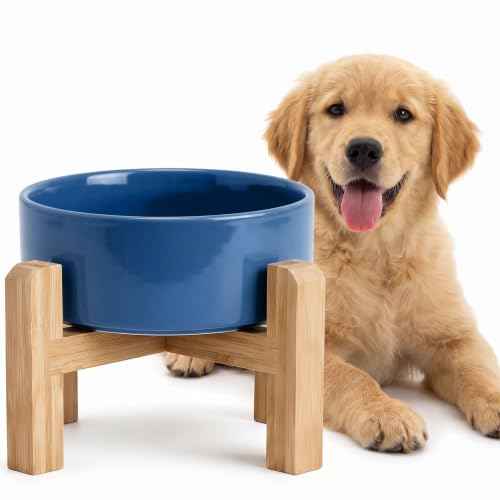 Elevated Ceramic Dog Bowl with Bamboo Stand (blue / 3.6Cup)