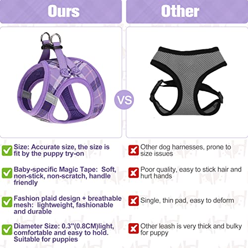 Small Dog Harness and Leash Set (XX-Small(Chest Girth 11.5"-13") / Purple)
