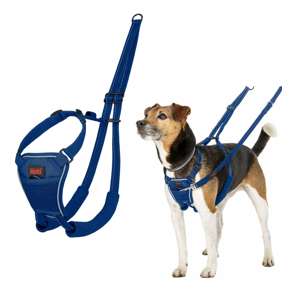No Pull Dog Harness (Cobalt Blue / S)