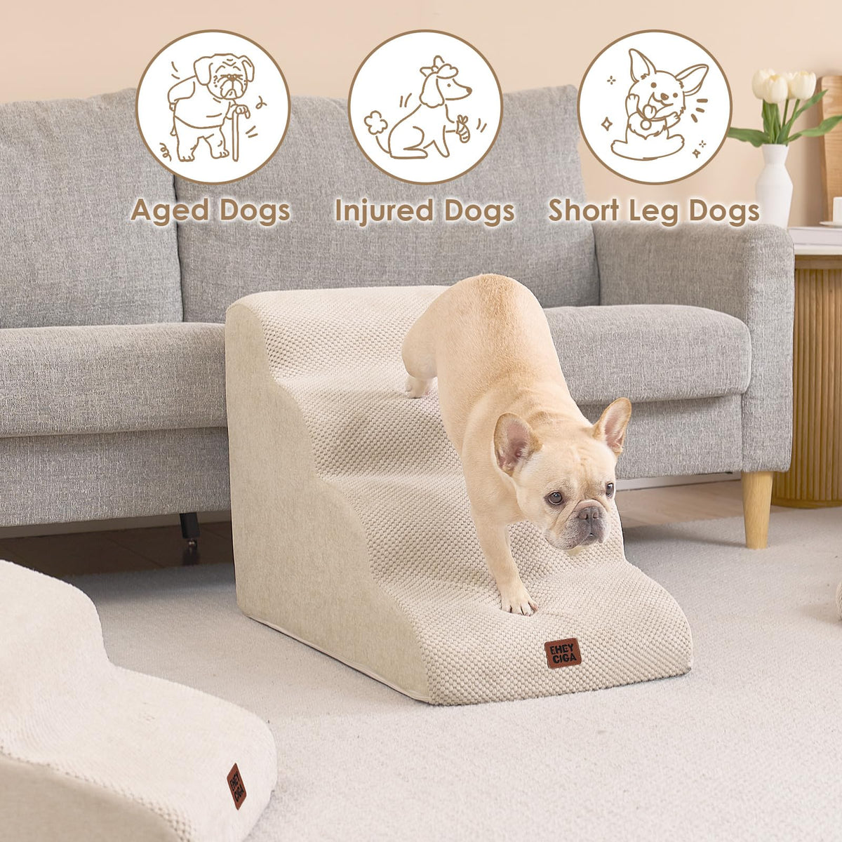Curved Dog Stairs Ramp