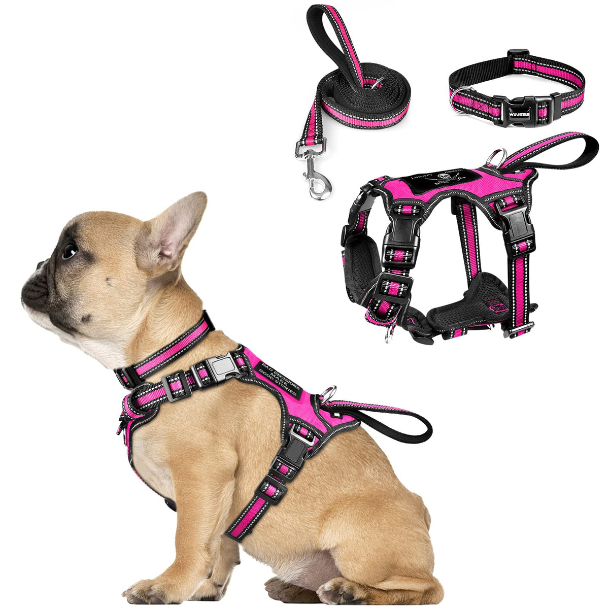 Pet Harness Collar and Leash Set (Small / Rosy)