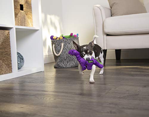 Just For Me Dinos Bruto Squeaky Plush Dog Toy (Dinos Bruto (Purple) / Mini)