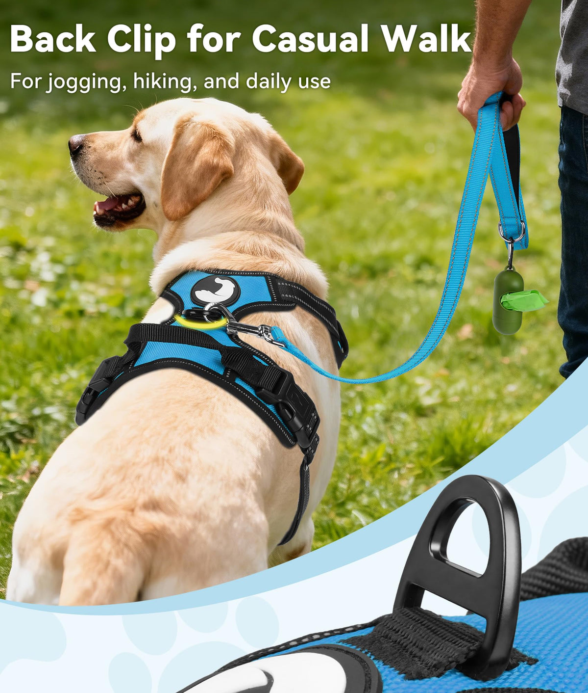 No Pull Dog Harness for Small Dogs (Small / SkyBlue)