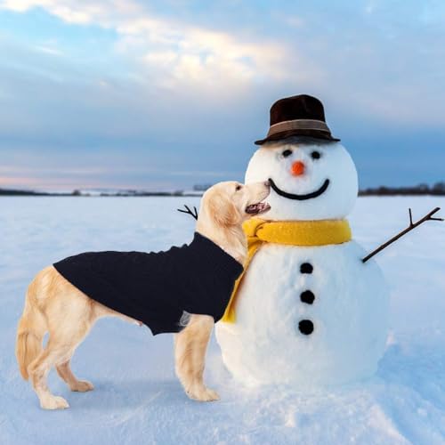 Turtleneck Dog Sweater (X-Large / Navy Blue)