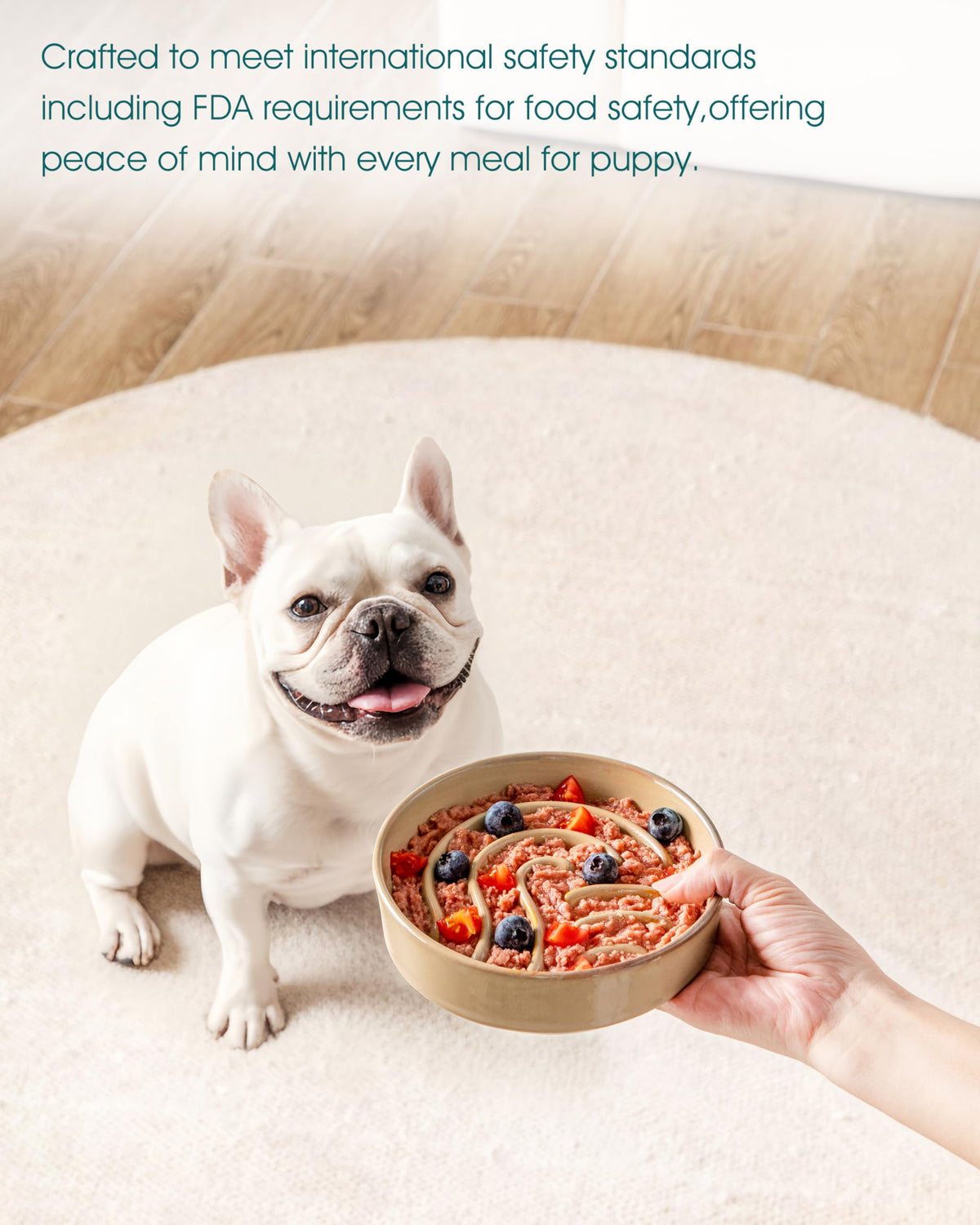 Slow Feeder Dog Bowl (Brown / 0.6 Cups)