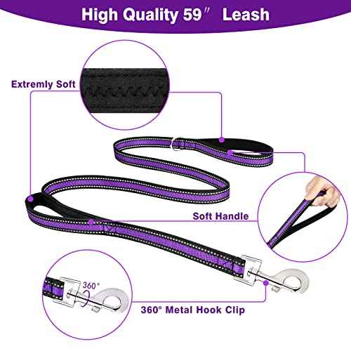 Pet Harness Collar and Leash Set (Small / Purple)