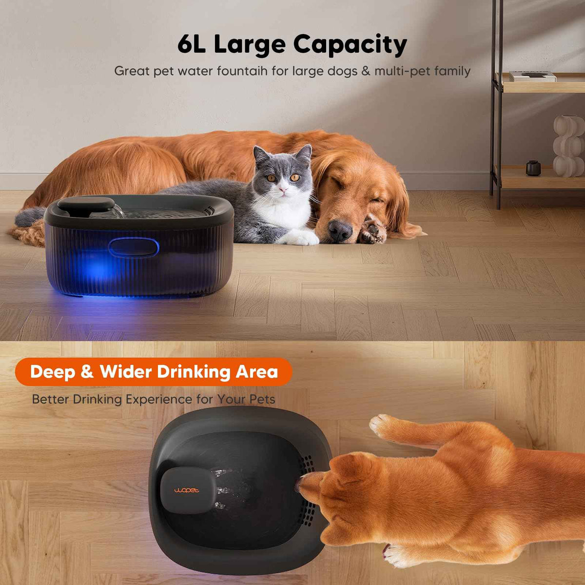 Dog Water Fountain for Large Dogs