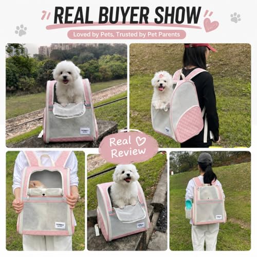 Cat Backpack Carrier for Small Dogs and Medium cat Puppy Kitten Bunny Pet Carrier Backpack Collapsible with Fully Ventilated Mesh with Safety Leash (Pink / 12.9"L x 10.62"W x 15.5"H)