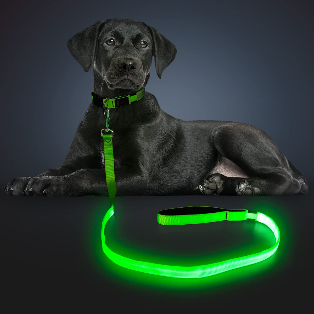 LED Light Up Dog Leash 3 Lighting Modes USB Rechargeable (Green-KX)
