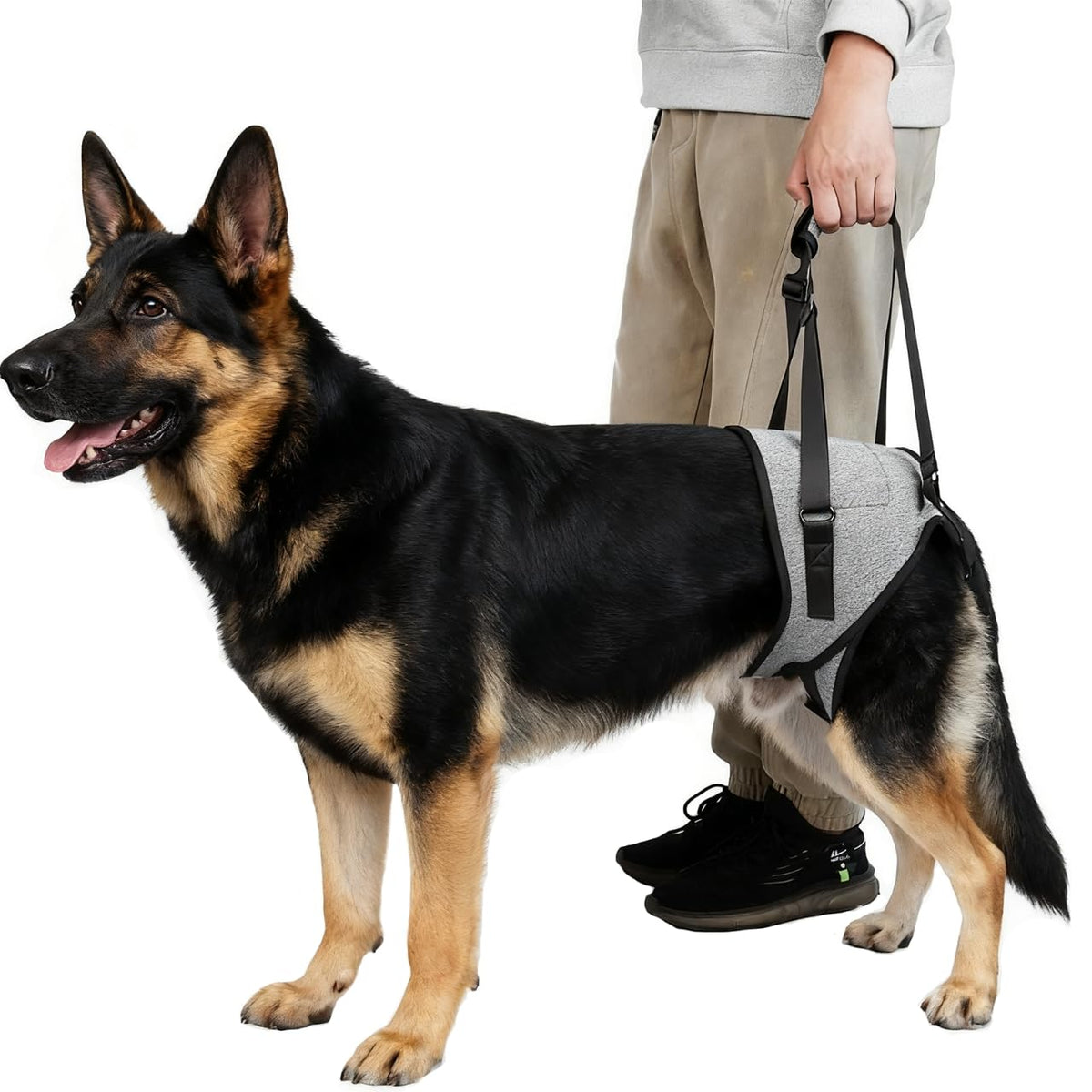 Dog Lift Harness for Dogs (Grey / Small)