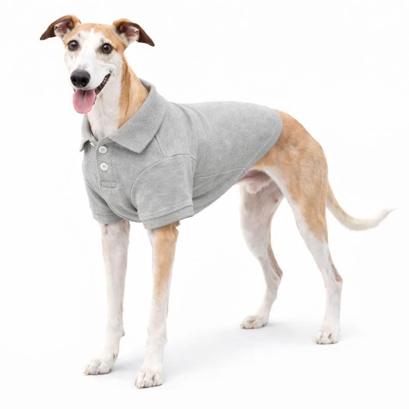 Basic Dog Polo Shirts Premium Cotton (XXXL (-75lbs) / Gray)