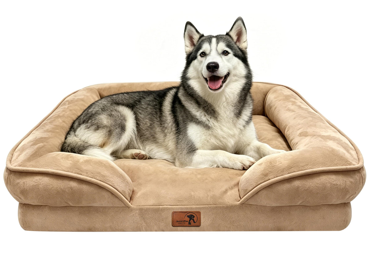 Orthopedic Dog Bed with Sides (38.0"L x 28.0"W x 6.5"Th / Brown)
